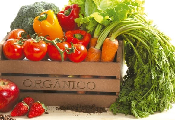 alimentos orgánicos 2