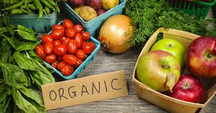 alimentos orgánicos