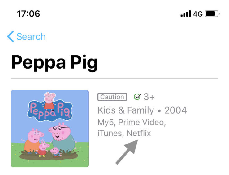 Netflix Apple TV app
