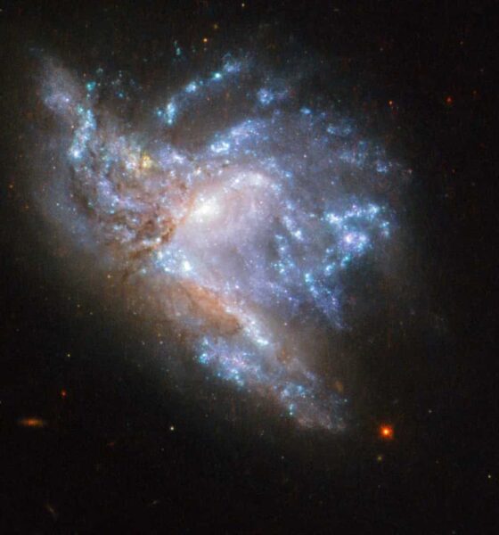galaxias