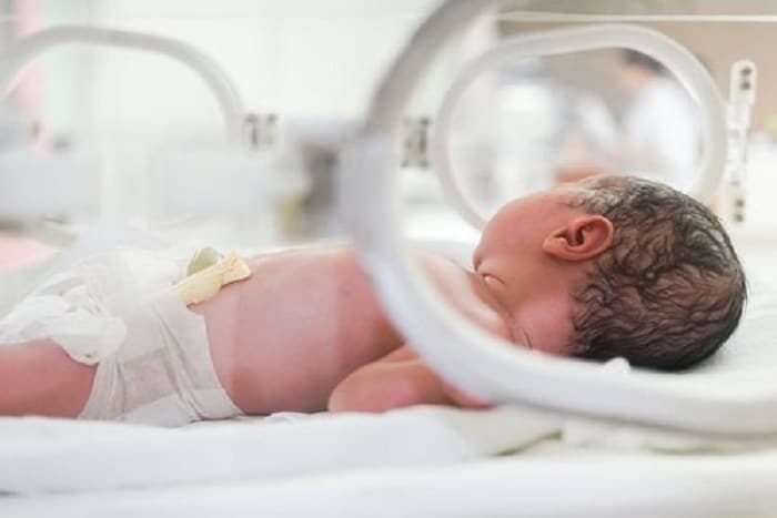 bebe prematuro incubadora 500x334 1 1