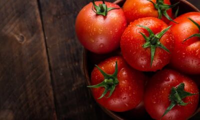 conservar tomates