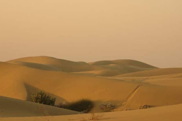 desierto de Thar