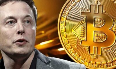 Elon Musk y Bitcoin
