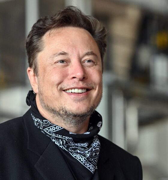 Elon Musk se burla del Metaverso