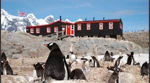 Oficina de Correos de Pingüinos