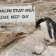 Oficina de Correos de Pingüinos