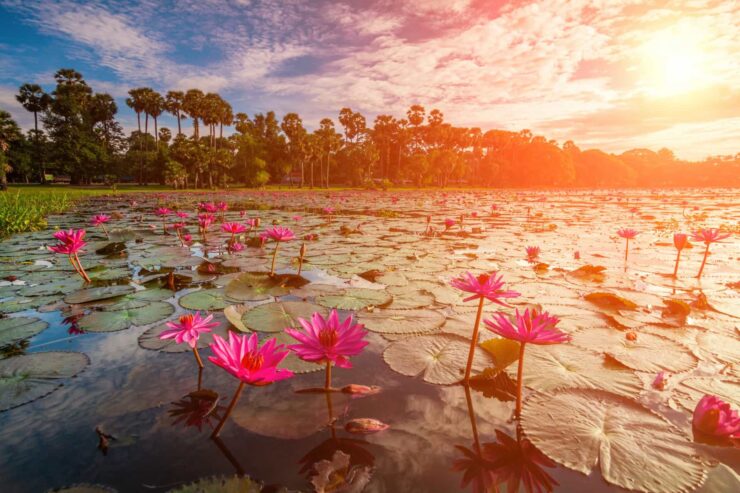 Los 20 mejores lugares del mundo para ver el amanecer
