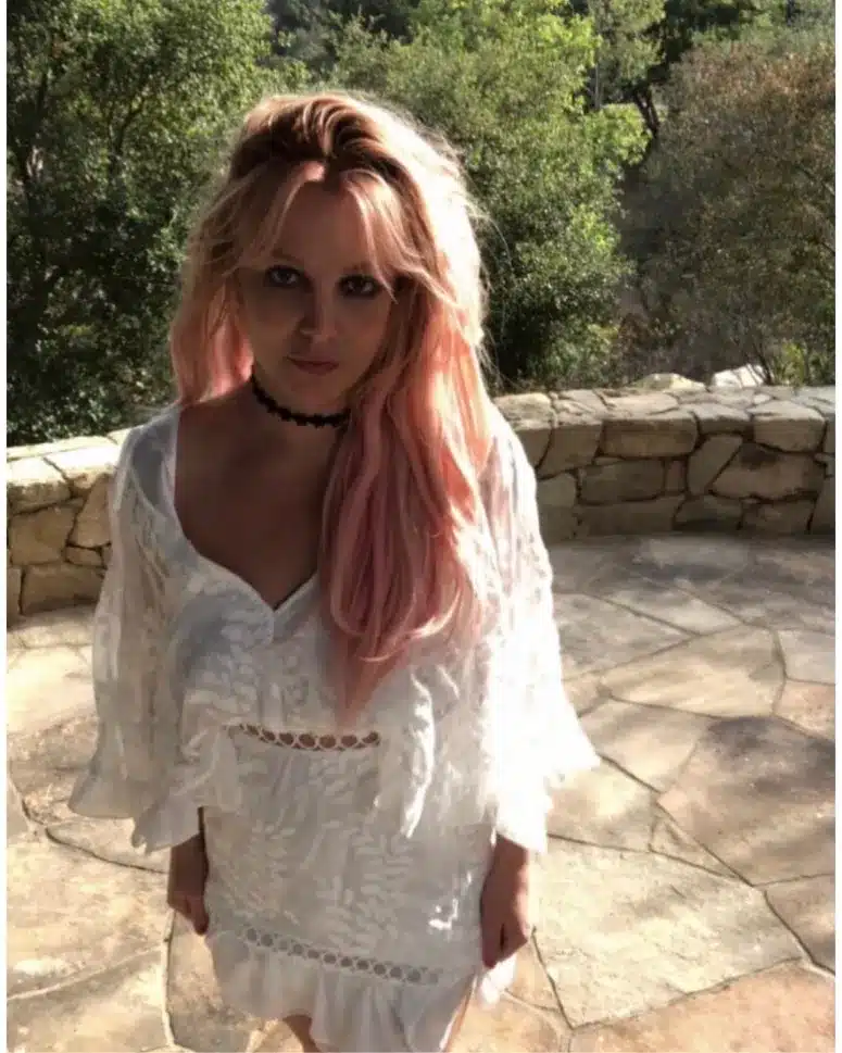 Los hijos de Britney Spears decidieron alejarse de su madre