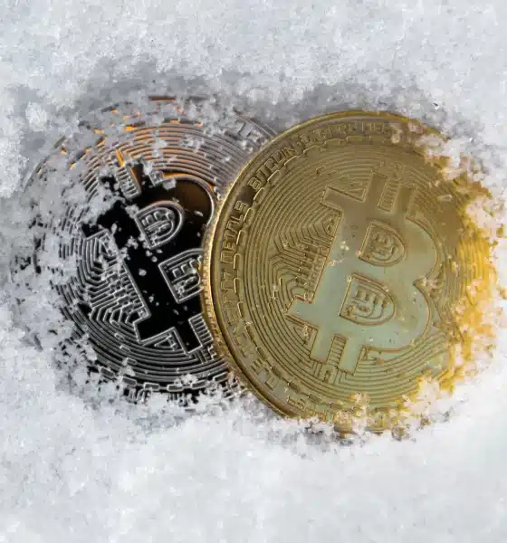 Crypto Winter elimina a millonarios de Bitcoin