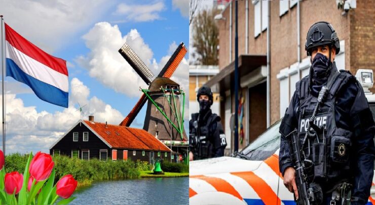 Holanda tulipanes y narcotrafico