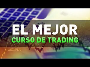 Trader Forex Profesional