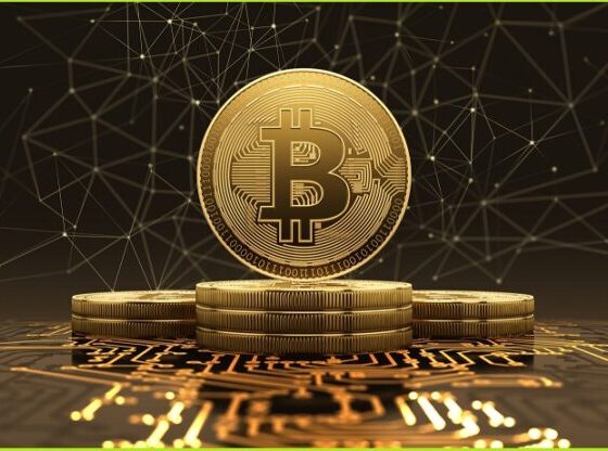 Bitcoiners Adoptan las Cripto Inversiones como una Profesión