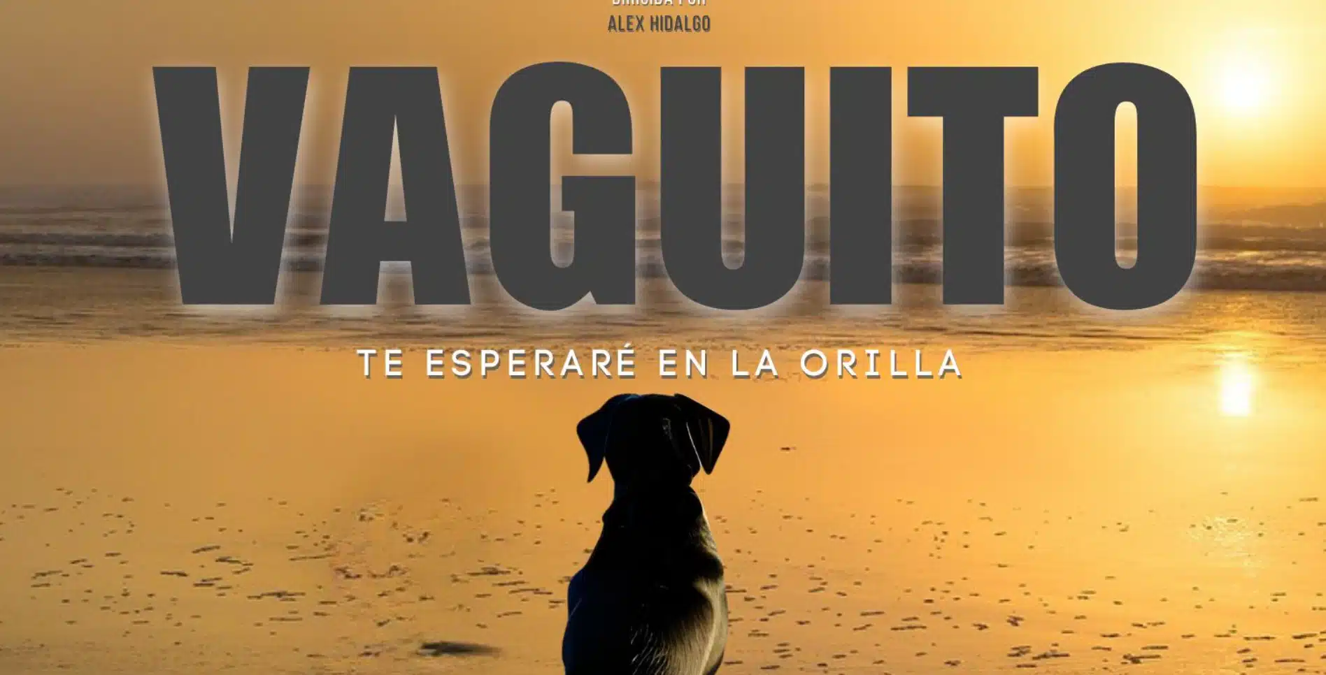 Vaguito: Conoce al Hachiko peruano en Cine - Trailer