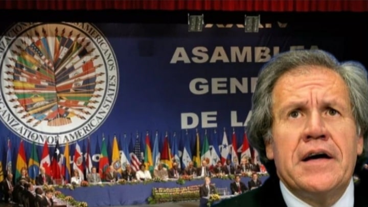 OEA condena irrupción en embajada mexicana en Ecuador
