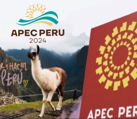 APEC ES MUCHO MÁS QUE PUERTO DE CHANCAY