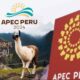 APEC ES MUCHO MÁS QUE PUERTO DE CHANCAY